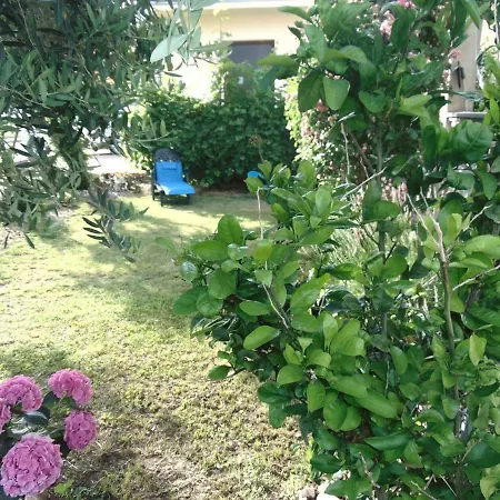Luka 150m From The